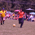 IMG_4337.JPG