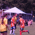 IMG_4342.JPG