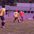 IMG_4348.JPG