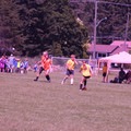IMG_4353.JPG