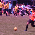 IMG_4355.JPG