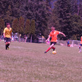 IMG_4361.JPG
