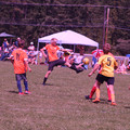IMG_4377.JPG