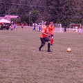 IMG_4378.JPG