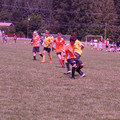 IMG_4379.JPG