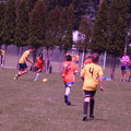 IMG_4399.JPG