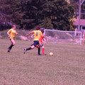 IMG_4415.JPG