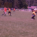 IMG_4429.JPG