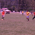 IMG_4431.JPG