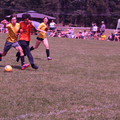 IMG_4434.JPG