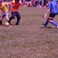 IMG_4435.JPG