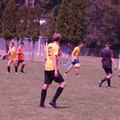 IMG_4438.JPG