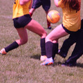 IMG_4445.JPG