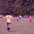 IMG_4451.JPG