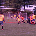 IMG_4457.JPG