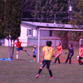 IMG_4459.JPG